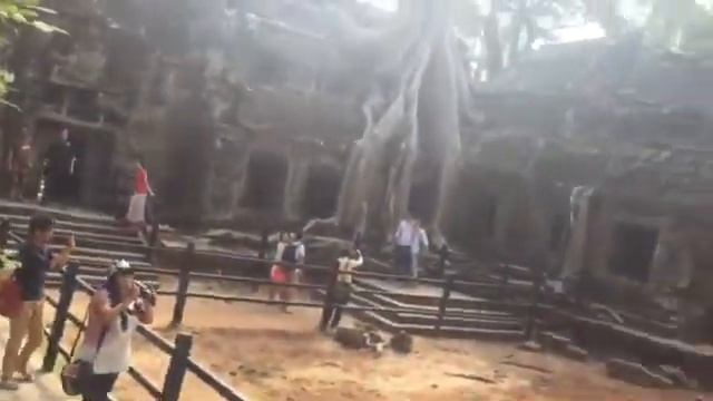 (Ta prum temple ) at Siem reap Cambodia. Kingdom of Cambodia. смотреть онлайн