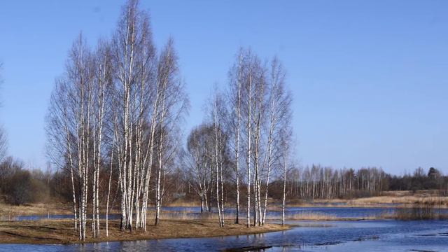 Весенние разливы смотреть онлайн