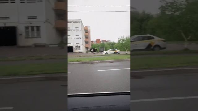 Бегущий страус в Москве #страус #москва #страусвмоскве #рекомендации #рек #shorts смотреть онлайн