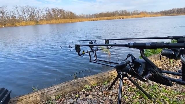 ТАКОЕ НА РЫБАЛКЕ МОЖЕТ БЫТЬ ТОЛЬКО У МЕНЯ! Рыбалка на карповую удочку смотреть онлайн