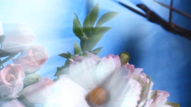 LPS : 7 Смертных грехов - опенинг смотреть онлайн