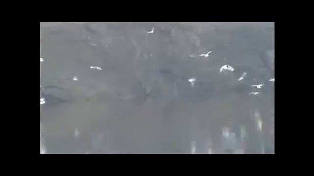 Витебск 2010 смотреть онлайн