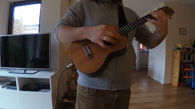 "Seemann" - Rammstein - Ukulele Cover смотреть онлайн