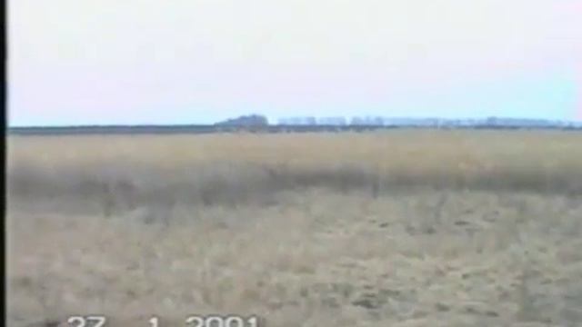 Охота на лис с гончими смотреть онлайн