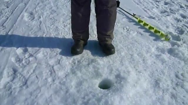 Ловля окуня на самодельную блесну "Торпедка" смотреть онлайн