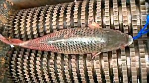 Процессы Производства, от Которых Волосы Встают Дыбом