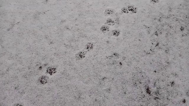 Ах снег снежок. смотреть онлайн