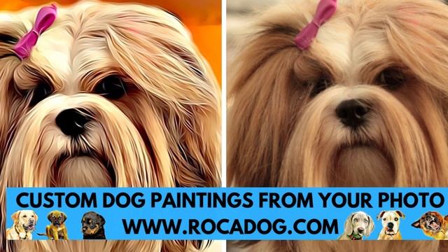 Lhasa Apso - TOP 10 Interesting Facts смотреть онлайн