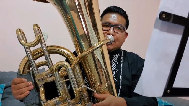 Richard Strauss - Horn Concerto No. 1 Jorge Soriano Ramirez - tuba смотреть онлайн
