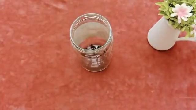 القرنفل هدية ربانية يطول الشعر الى الركب ينبت الشعر حتى لو اصلع يوقف التساقط الشديد ويعالج شيب الشع смотреть онлайн