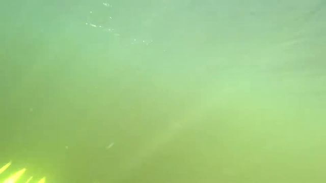 Под водой. Река Воронеж. Рамонь. 28/07/2018 г. смотреть онлайн