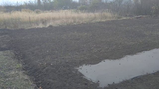 Посадка клубники под Спанбонд смотреть онлайн