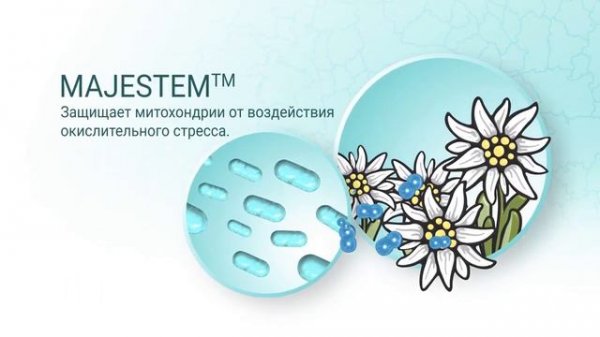 Косметика BEAUTY NATURAL SERIES компании APL