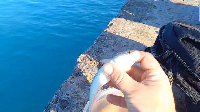 Рыбалка на черном море. Часть1. смотреть онлайн