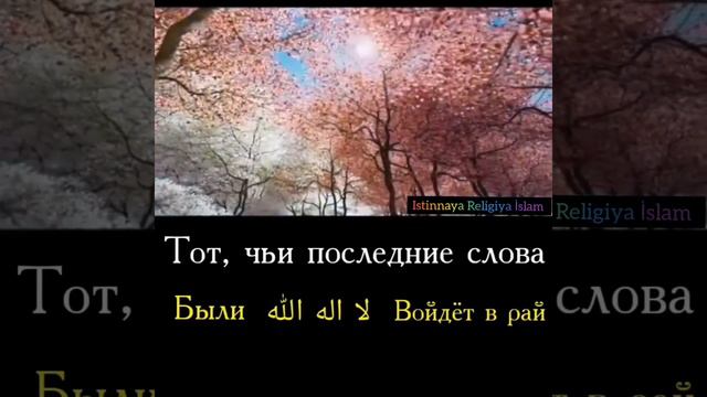 У кого последние слова были ЛА ИЛАХА ИЛЛАЛЛАХ войдёт в Рай смотреть онлайн