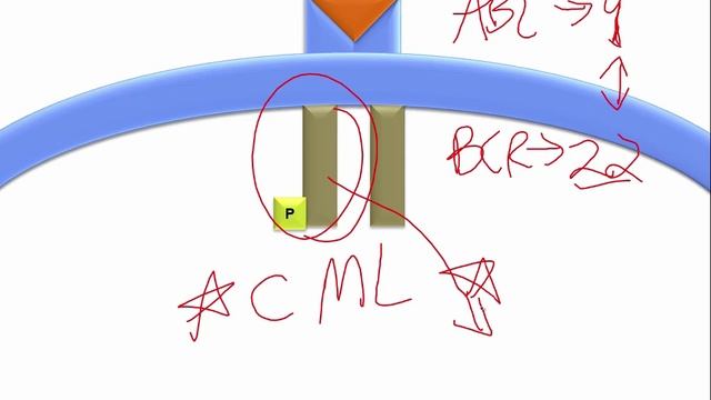 USMLE RX - 7.Микробиология - 10.Патология - 2.Неоплазия - 10.Онкогены смотреть онлайн