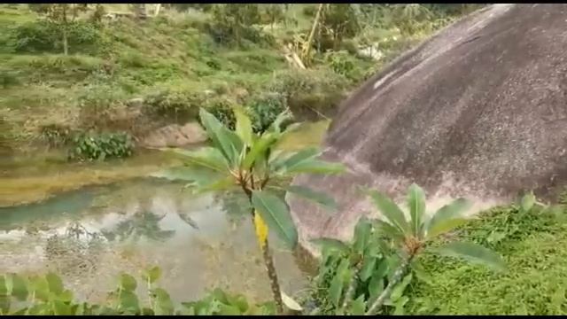 Часть 1  Я не могу иначе  христианская повесть