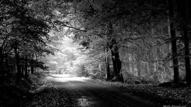 Sam Wedgwood - Secret Diary смотреть онлайн