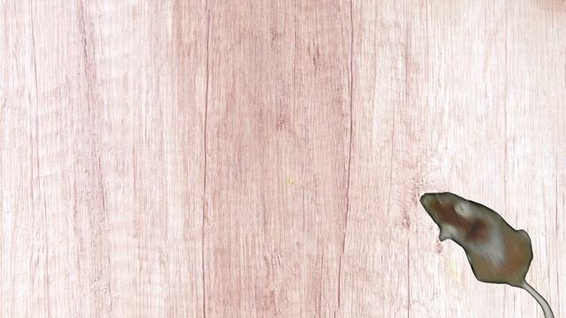 CAT GAMES l Cat game catch the mouse | CAT TV | 10 min. смотреть онлайн