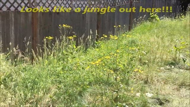 Homelite 4 Amp Straight Electric String Trimmer Review смотреть онлайн