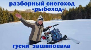 снегоходик Рыбоход по сугробам двоих везёт