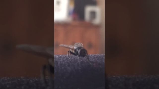 Очень интересная и полезная информация о том, как нужно правильно общаться смотреть онлайн