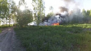 пожар в лесу (Новосибирск)