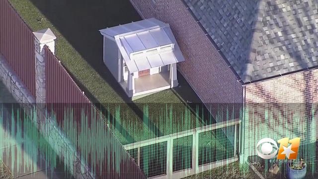 911 Audio: Neighbor Calls Police After Allegedly Bitten By Dak Prescott's Dog - Discretion Advised смотреть онлайн