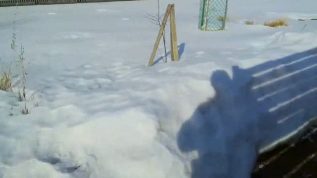 ??????Деревянный евро забор своими руками смотреть онлайн