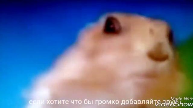 Драматический бурундук?? смотреть онлайн