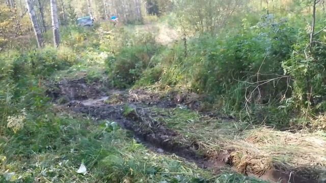 Выезд по грибы 28.08.2016 (Роман_С) смотреть онлайн