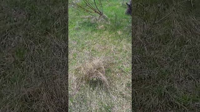 коп метала смотреть онлайн