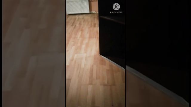 Циклевка художественного паркета смотреть онлайн