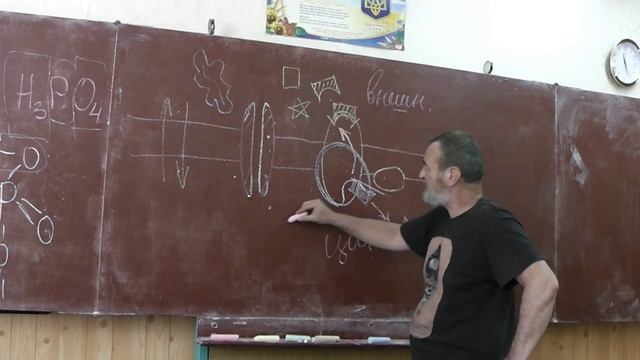 56 Пассивный и активный транспорт. Диффузия смотреть онлайн