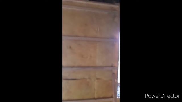 девор & паталок утиплит клиш смотреть онлайн