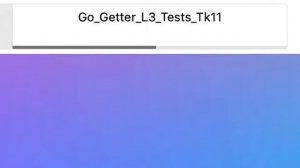 Go.getter 3 test