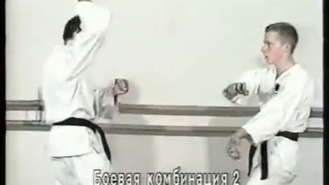 Окинавское карате Практический курс 1 63 смотреть онлайн