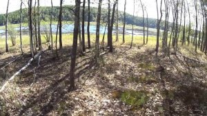 Щука на хорватское яйцо.