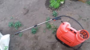 ОГУРЕЦ НЕ РАСТЁТ ПРОБЛЕМА В КОРНЕ ЕГО НЕТ