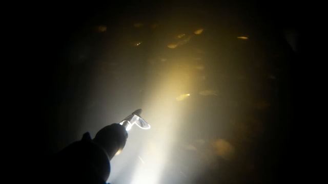 Подводная охота 28.01.15 смотреть онлайн