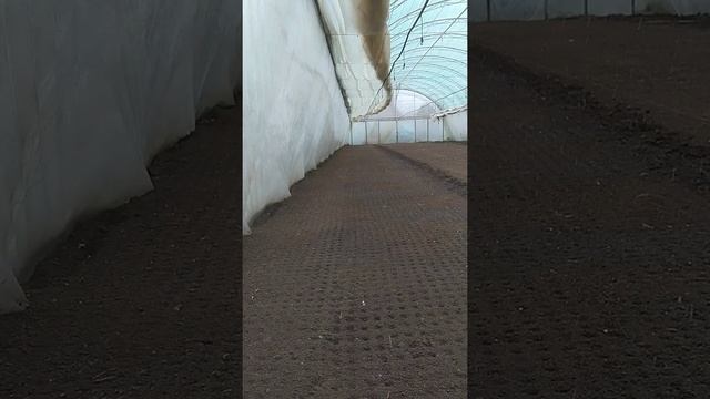 Полив редиски 13,01,2021 часть 1