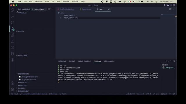 Run and debug a Spring Boot project in Visual Studio Code смотреть онлайн