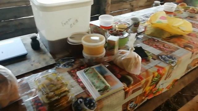 Таежная слобода. Илюха валит лес. смотреть онлайн