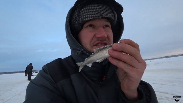 Зимняя рыбалка на корюшку в Белом море Кемского района смотреть онлайн