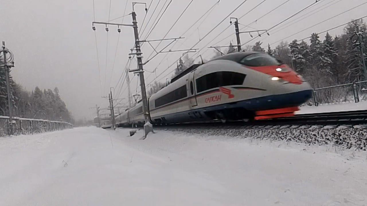 Скоростные поезда  на Ленинградском направлении.