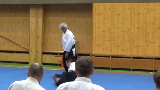 Aikido: Yokomen uchi & Aikiken by Bruno Gonzalez Riga 2019 смотреть онлайн