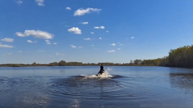 Такое бывает раз в год!Пользуемся моментом и плаваем) смотреть онлайн