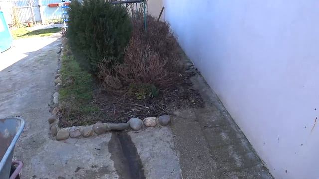 Цыплята вылупились🐥🐤 Блины ажурные😋🥮 Картошка посажена 🌱 Март на Кубани😊🌹🌹🌹 смотреть онлайн