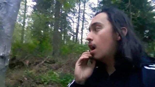 Silver dollar plant Basics / Lunaria / Honesty plant смотреть онлайн