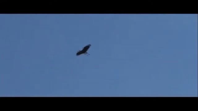 Заказник Лиман